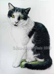 Flix le chat dessin en portrait 30 x 40 cm sur commande au crayon